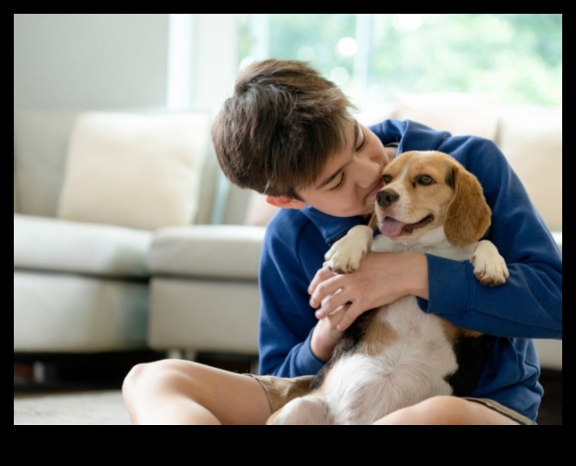 A Happy Home: Creating a Pet-Friendly Environment
