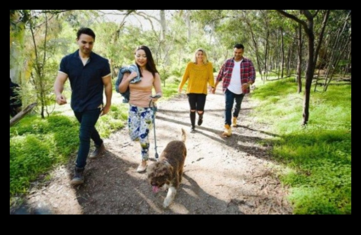 A Walk in the Park: Exploring Outdoor Adventures with Your Dog