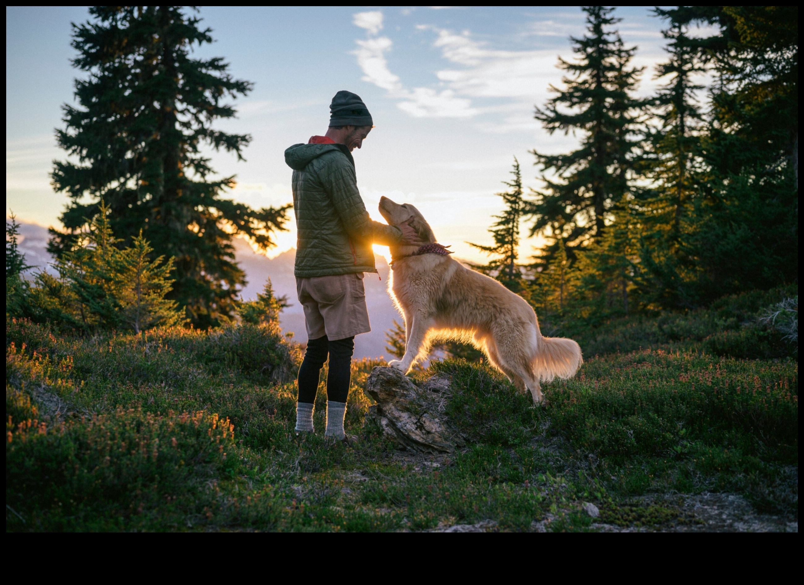 A Walk in the Park: Exploring Outdoor Adventures with Your Dog