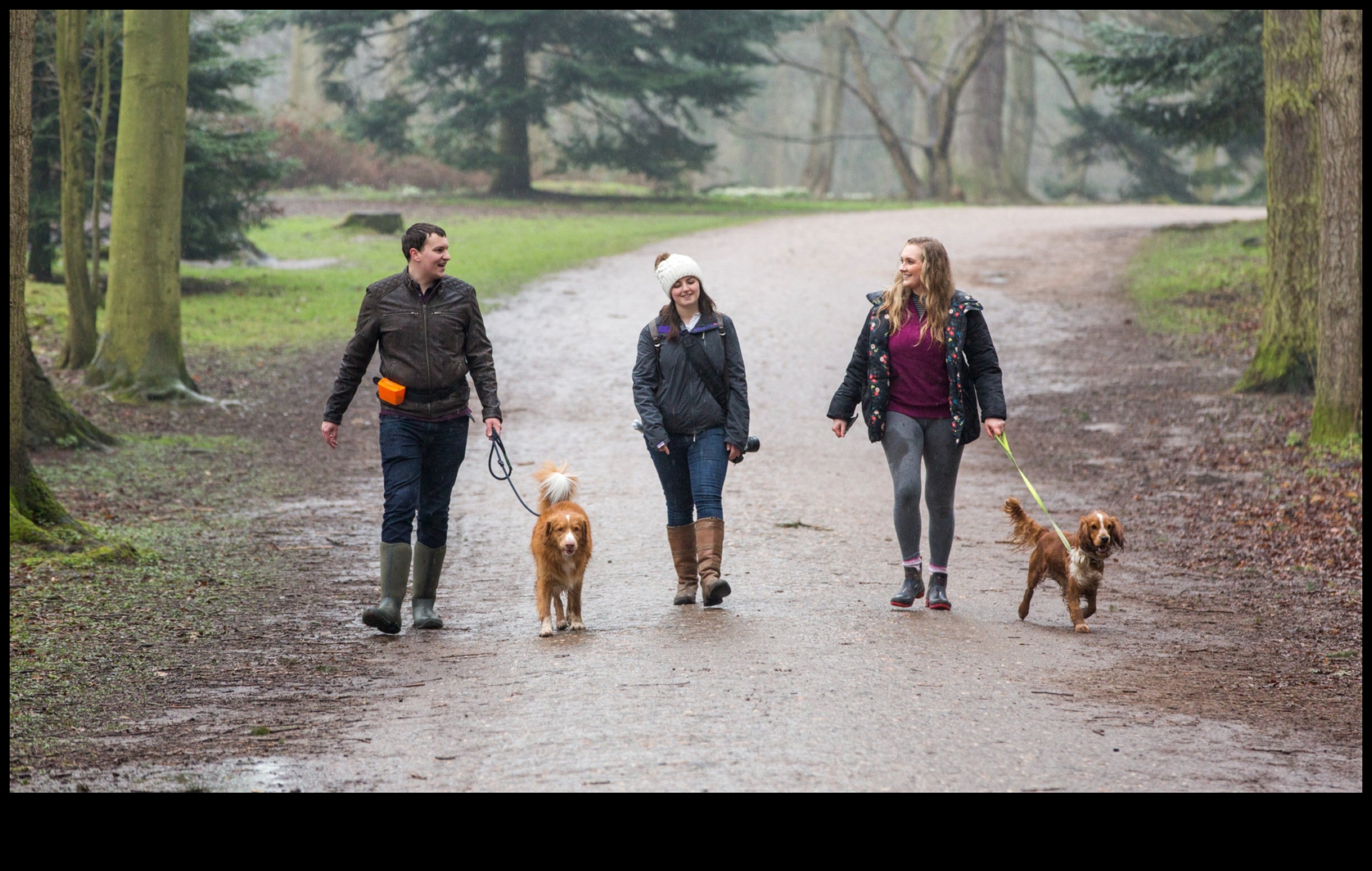 A Walk in the Park: Exploring Outdoor Adventures with Your Dog