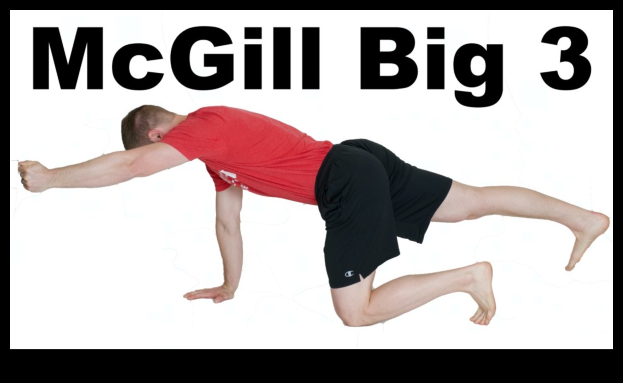 Ab Symphony: Harmonizing Fitness with Core-Enhancing Exercises