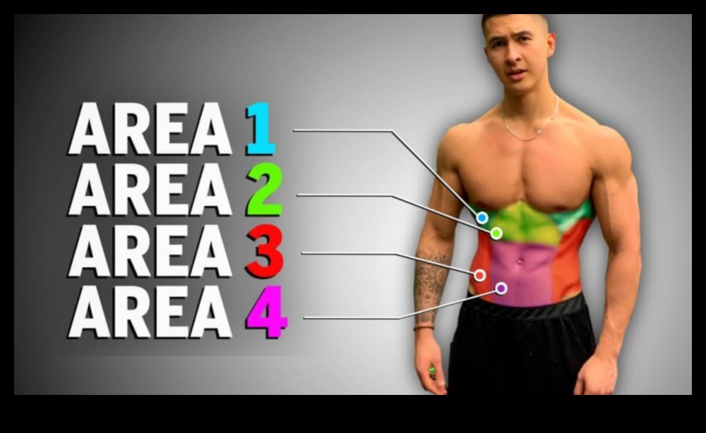 Abs Alchemy: Transforming Your Midsection with Targeted Exercises