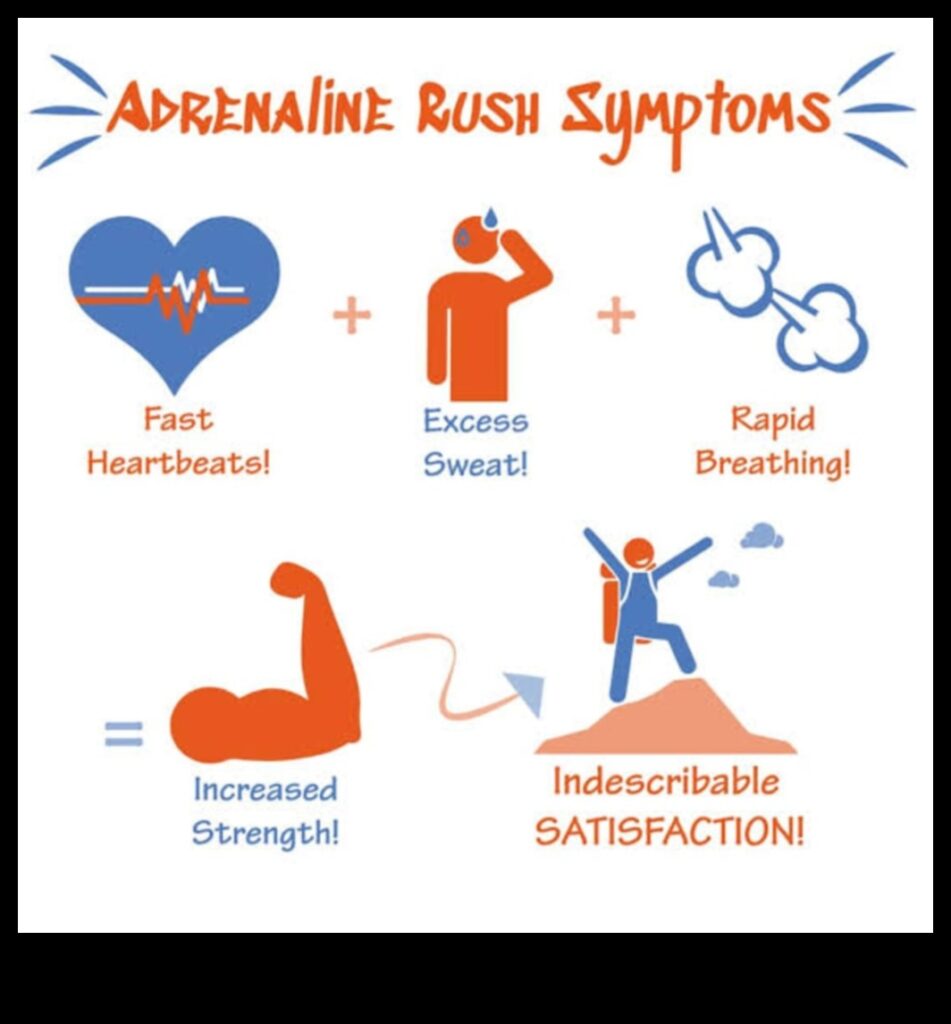 Adrenaline Amplified Feel the Rush with These High-Impact Routines 1