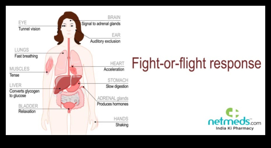 Adrenaline Amplified: High-Impact Routines for Maximum Thrills