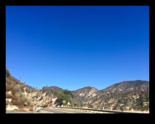 Adrenaline Arcadia The Ultimate Thrill-Seeker's Playground 4 Adrenaline Arcadia: Creating Your Thrill Paradise