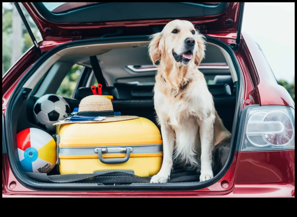 Adventure Awaits Planning Dog-Friendly Travel 1