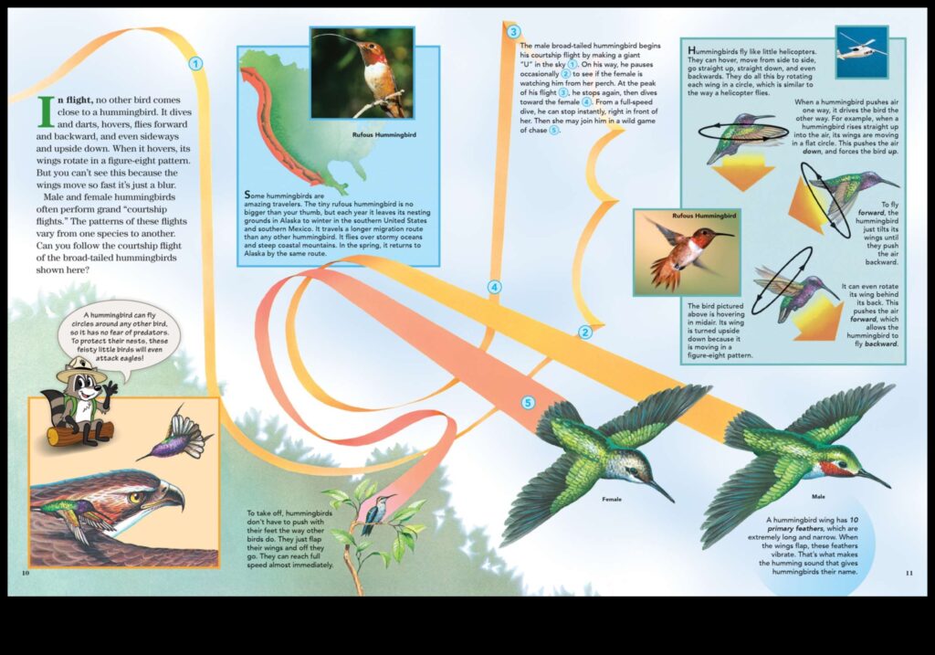 Aerial Acrobats The Fascinating World of Bird Flight 1