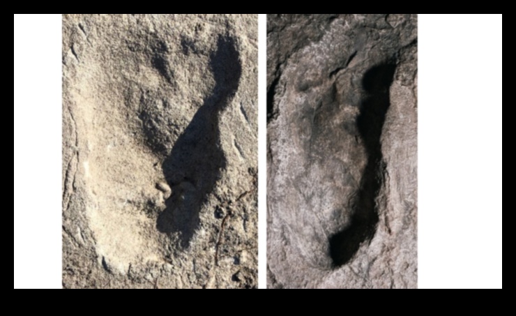 Ancestral Footprints: Traversing the Paths of History