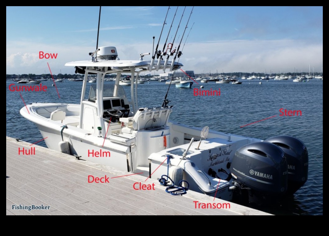 Angler's Anatomy: Understanding the Anatomy of Popular Sportfish