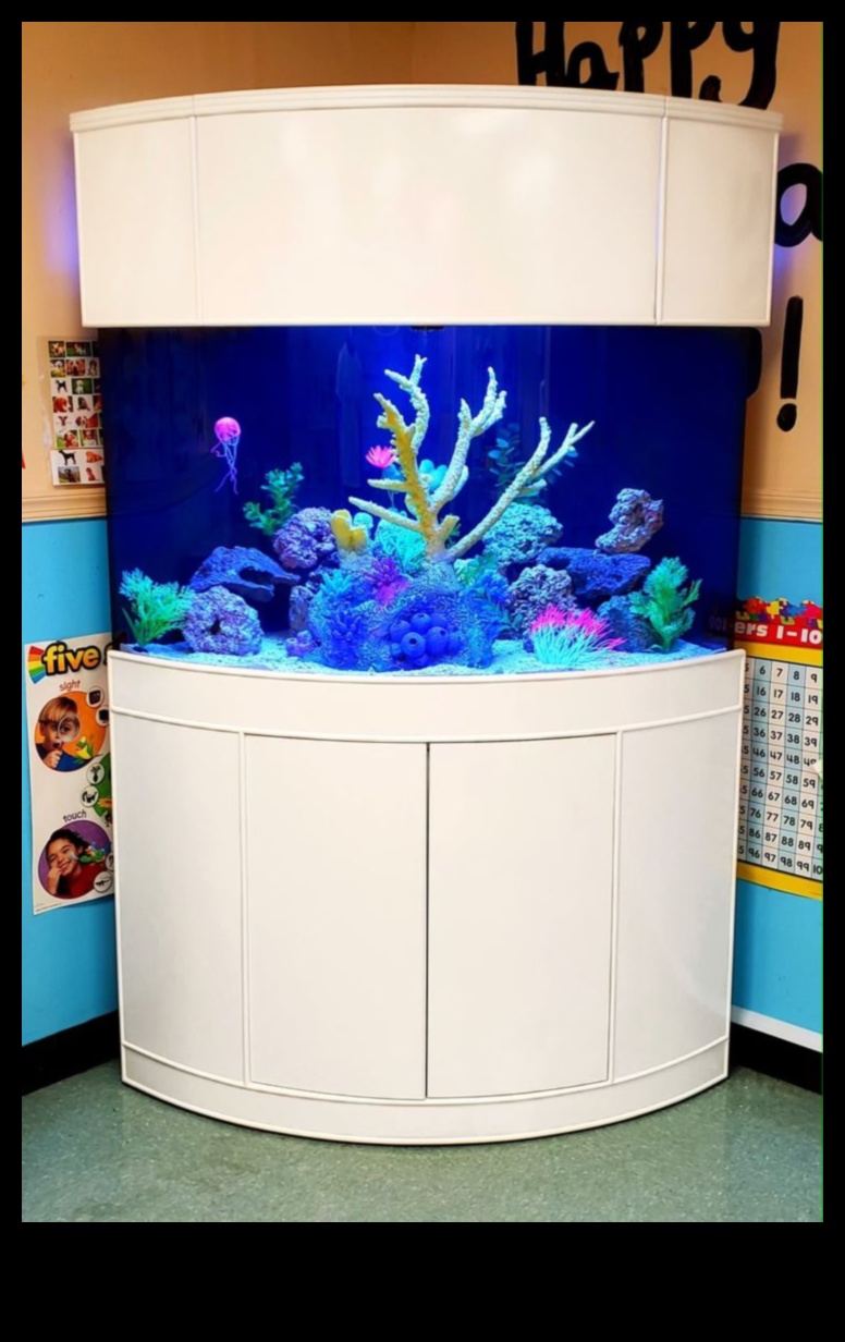 Aqua Accessory Alcove: Creating a Chic Corner in Your Fish Tank