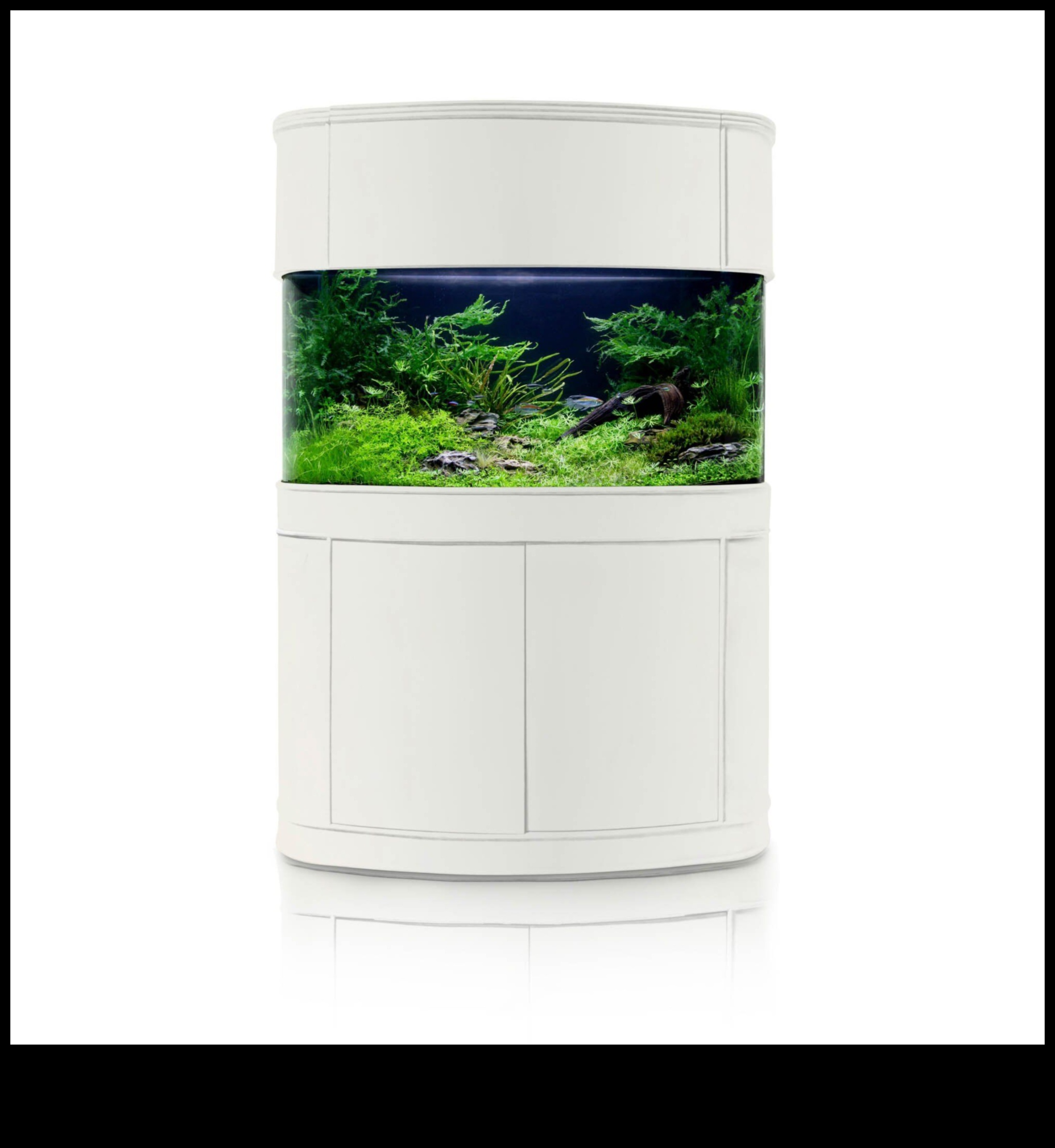 Aqua Accessory Alcove: Creating a Chic Corner in Your Fish Tank