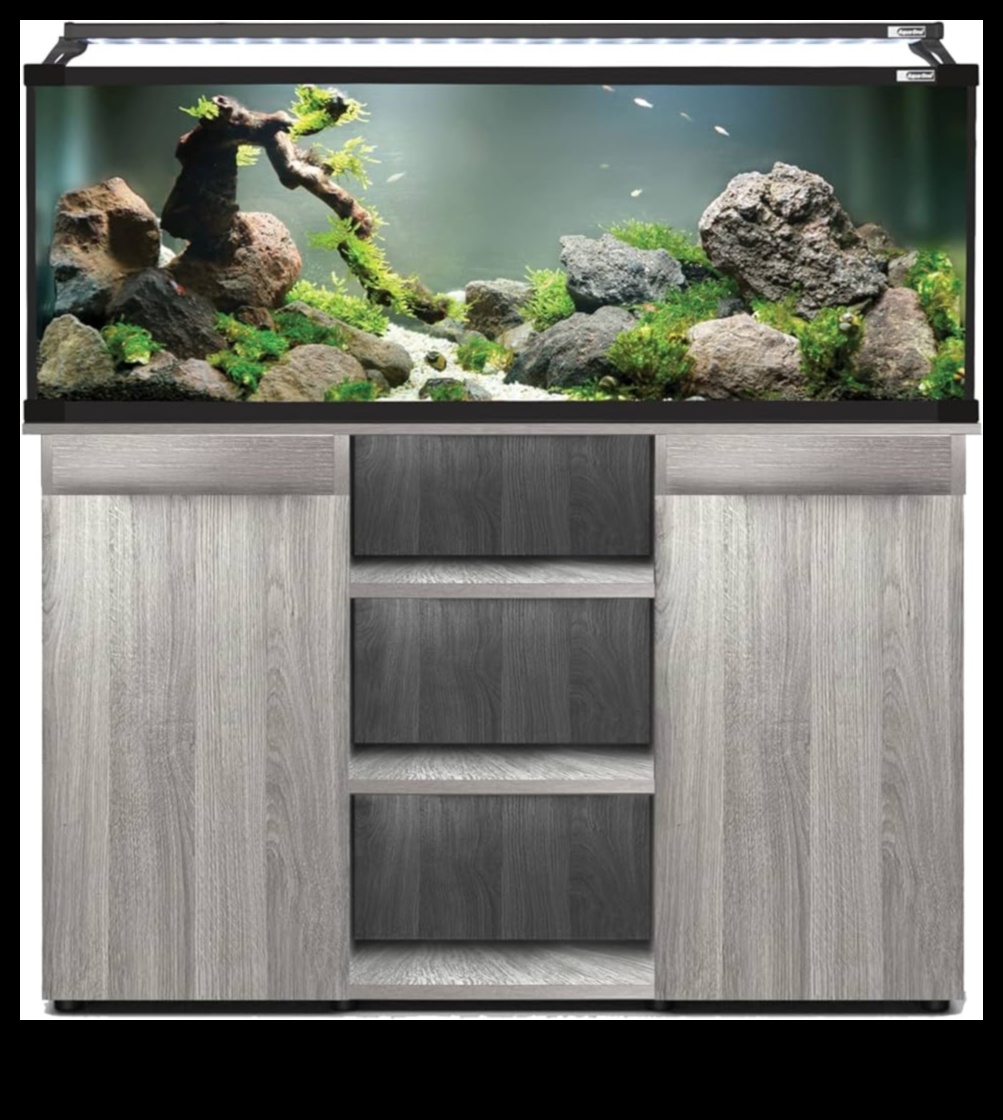 Aqua Accessory Alcove: Creating a Chic Corner in Your Fish Tank