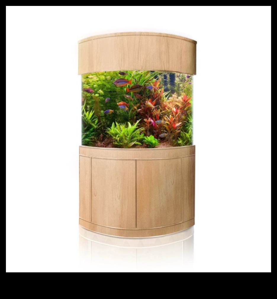 Aqua Accessory Alcove: Creating a Chic Corner in Your Fish Tank