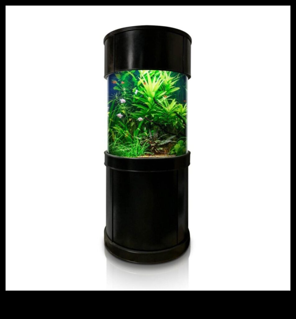 Aqua Accessory Alcove Create a Stylish and Functional Space for Your Fish Tank 1