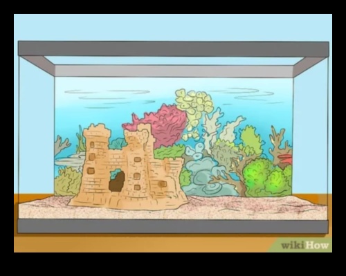 Aqua Adornments Continued: Enhancing Your Fish Tank's Aesthetic