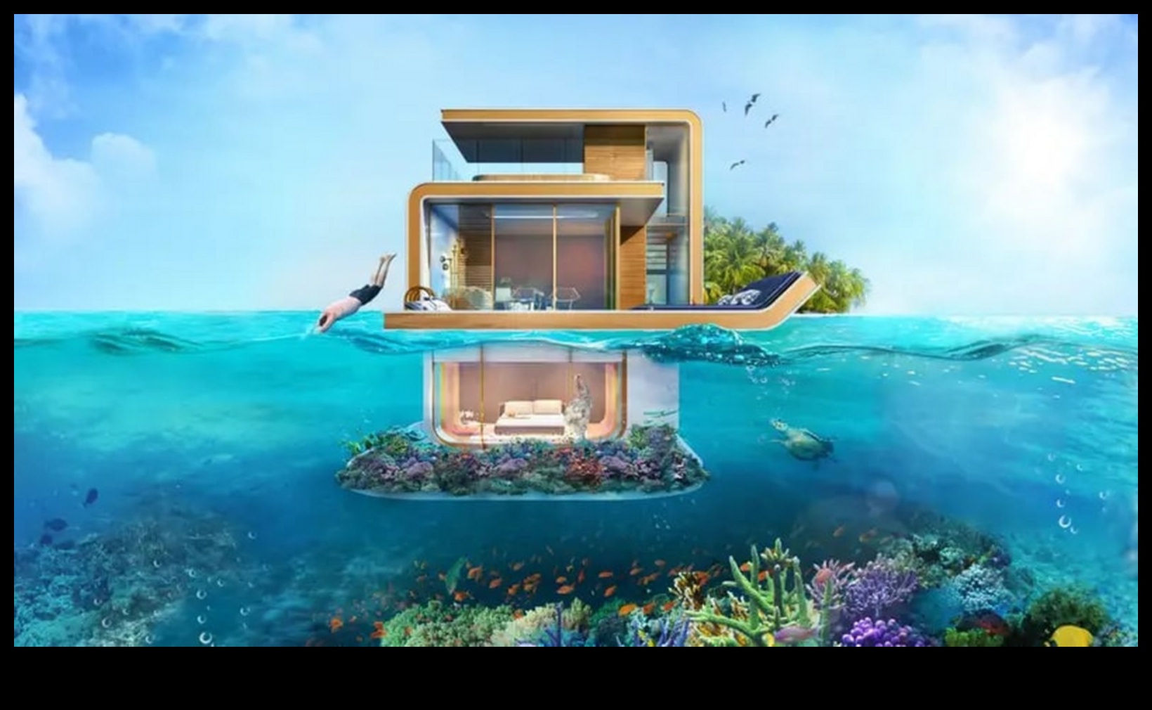 Aqua Architects: Examining the Nests and Homes of Fish