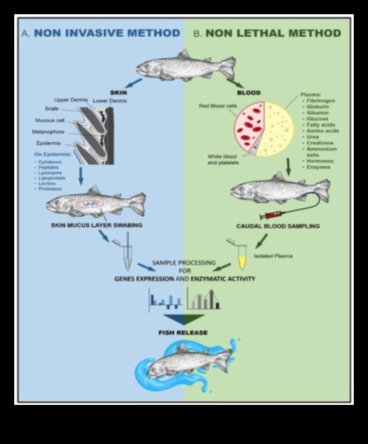 Aqua Architects: Examining the Nests and Homes of Fish