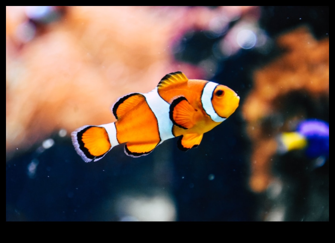 Aqua Cuisine: Culinary Adventures with Lesser-Known Fish Species