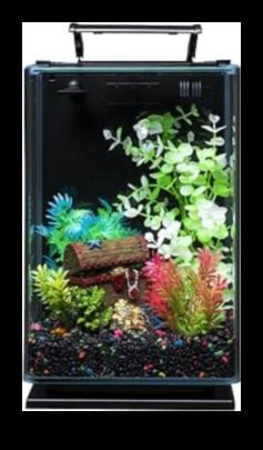 Aquarium Accents: Decorative Touches for Stylish Fish Tanks