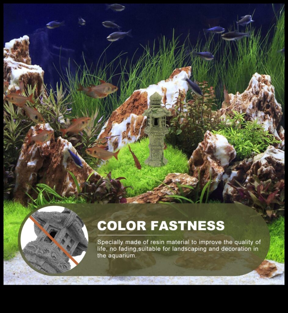 Aquarium Accents Enhancing Your Fish Tank with Decorative Elements 1