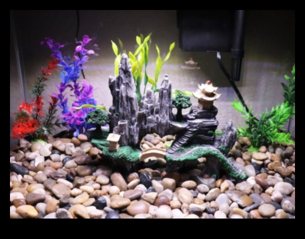 Aquarium Accents: Enhancing Your Fish Tank with Decorative Elements