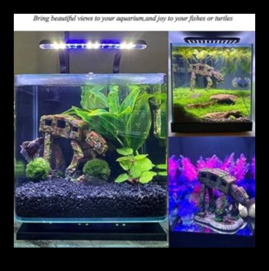 Aquarium Accents: Enhancing Your Fish Tank with Decorative Elements