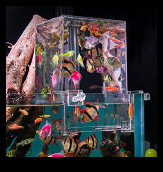 Aquarium Accessories Extravaganza Continued: Adding Elegance to Your Fish Tank