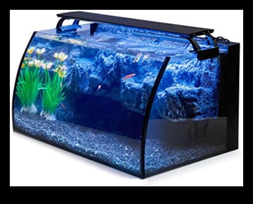 Aquarium Accessories Extravaganza Level Up Your Fish Tank with Style and Elegance 1
