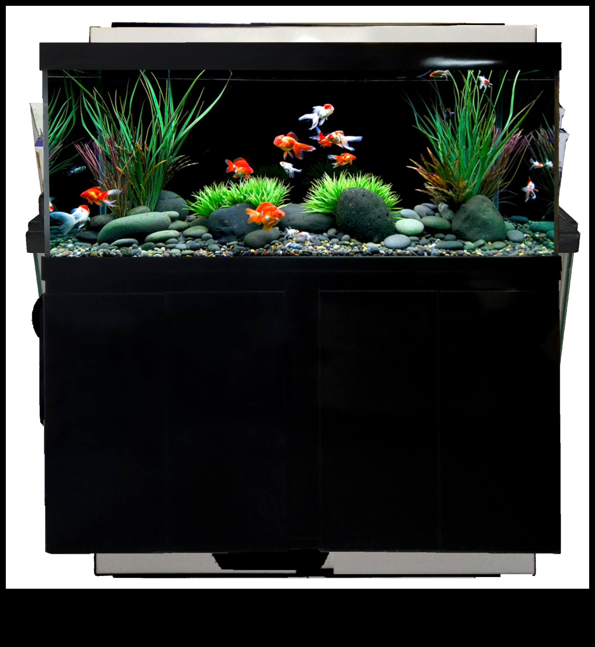 Aquarium Accessories Extravaganza Continued: Adding Elegance and Style to Your Fish Tank
