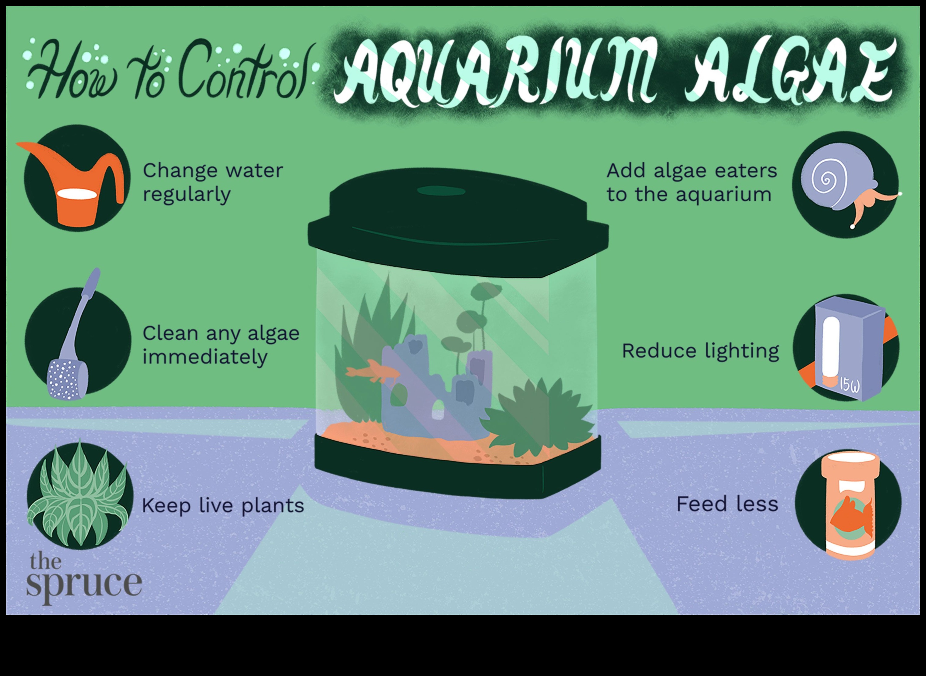 Aquarium Algae Control: Tips for Maintaining a Clean Fish Tank