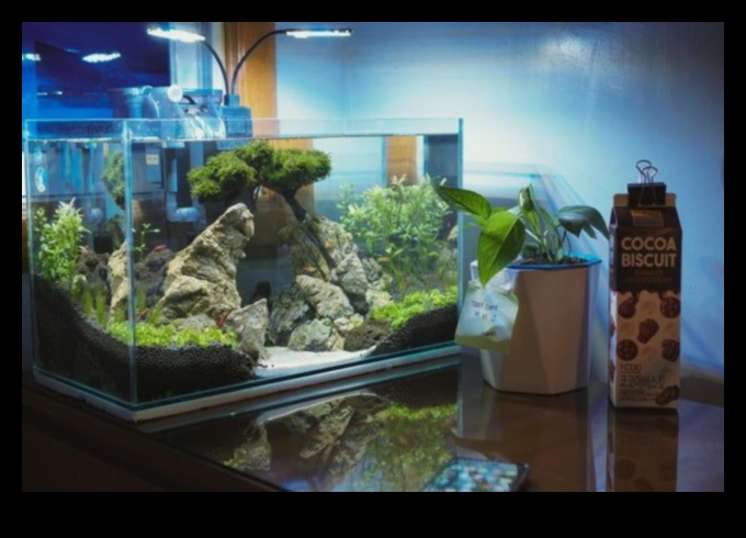 Aquarium Elegance: Decorative Accessories for Fish Tanks