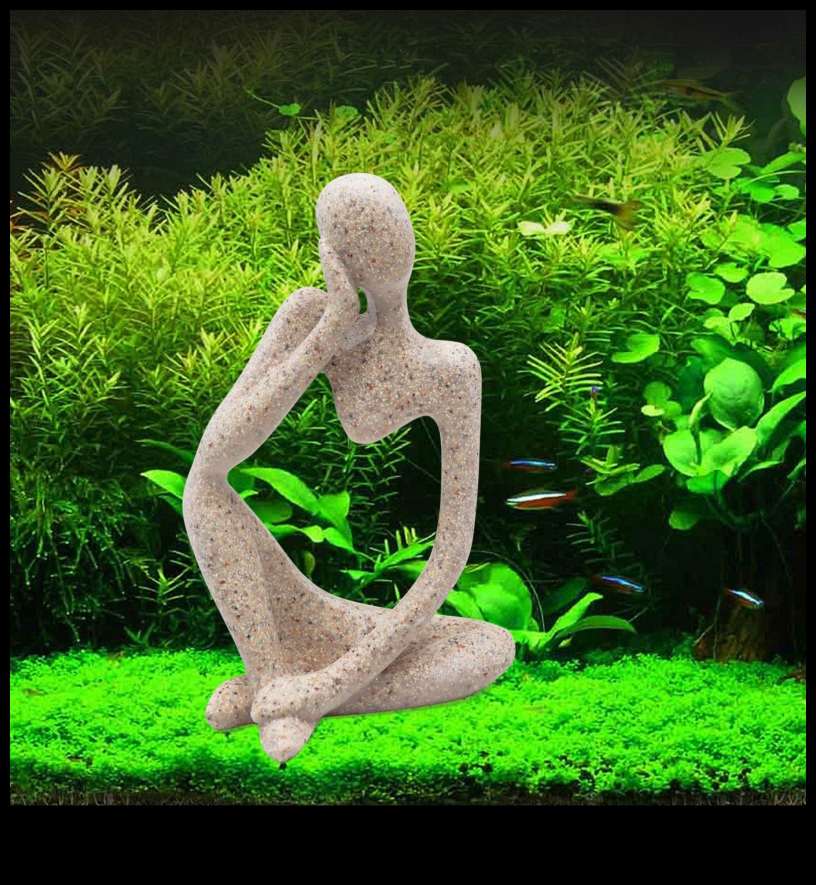 Aquarium Elegance: Decorative Accessories for Fish Tanks