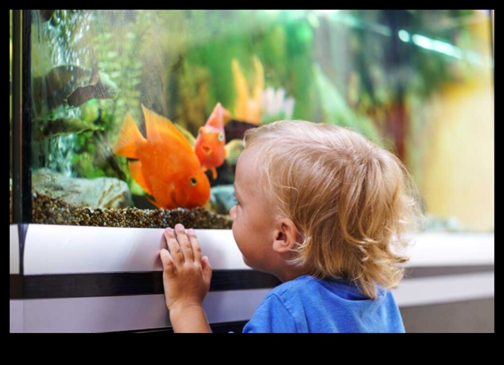 Aquarium Exploration Encouraging Fish to Explore Their Tank 1