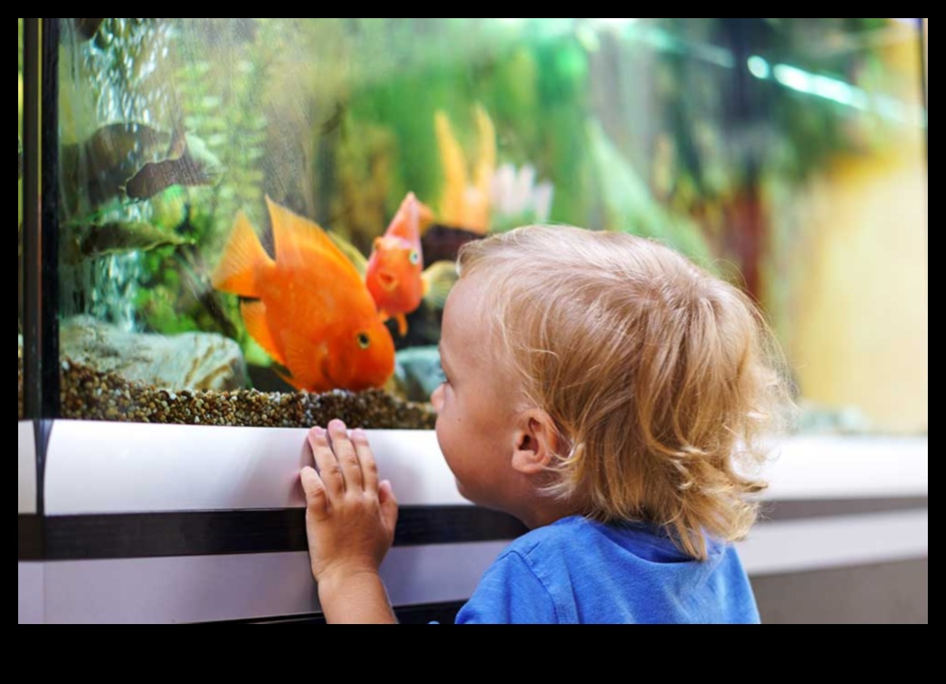 Aquarium Exploration: Encouraging Fish to Explore Their Tank