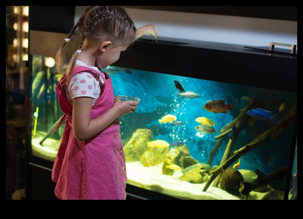 Aquarium Exploration: Encouraging Fish to Explore Their Tank