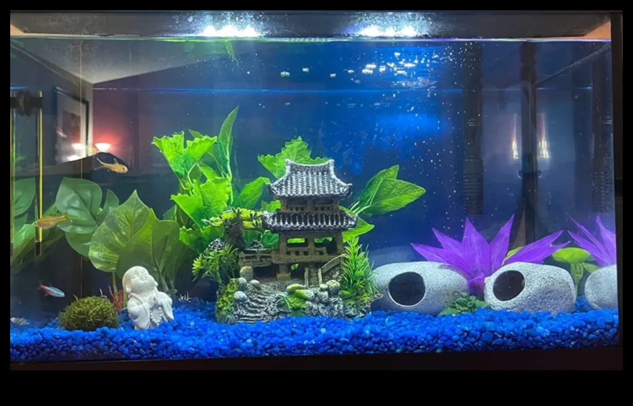 Aquatic Adornments: Jazzing Up Your Fish Tank with Stylish Accessories