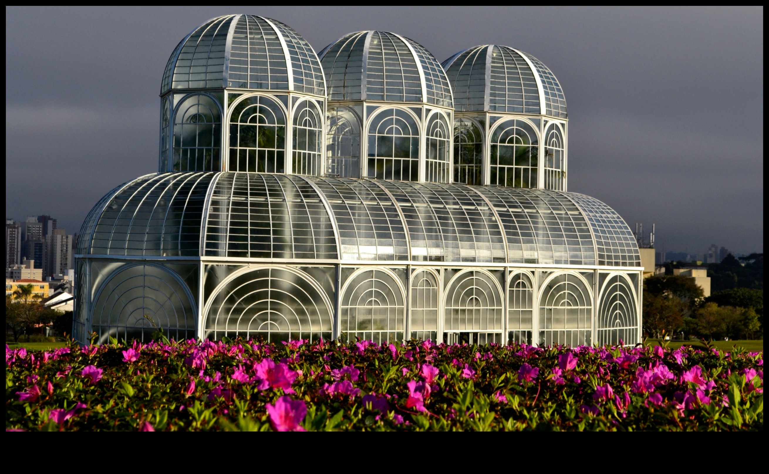 Architectural Arboretum: A Diverse Array of Landmarks