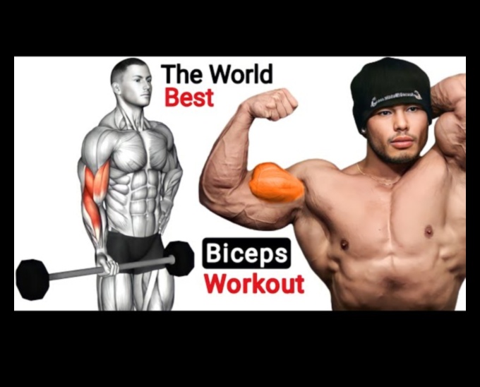 Arm Architect Build Strength and Sculpt Muscle with Precision Workouts 2 Arm Architect: Designing Strength with Precision Workouts