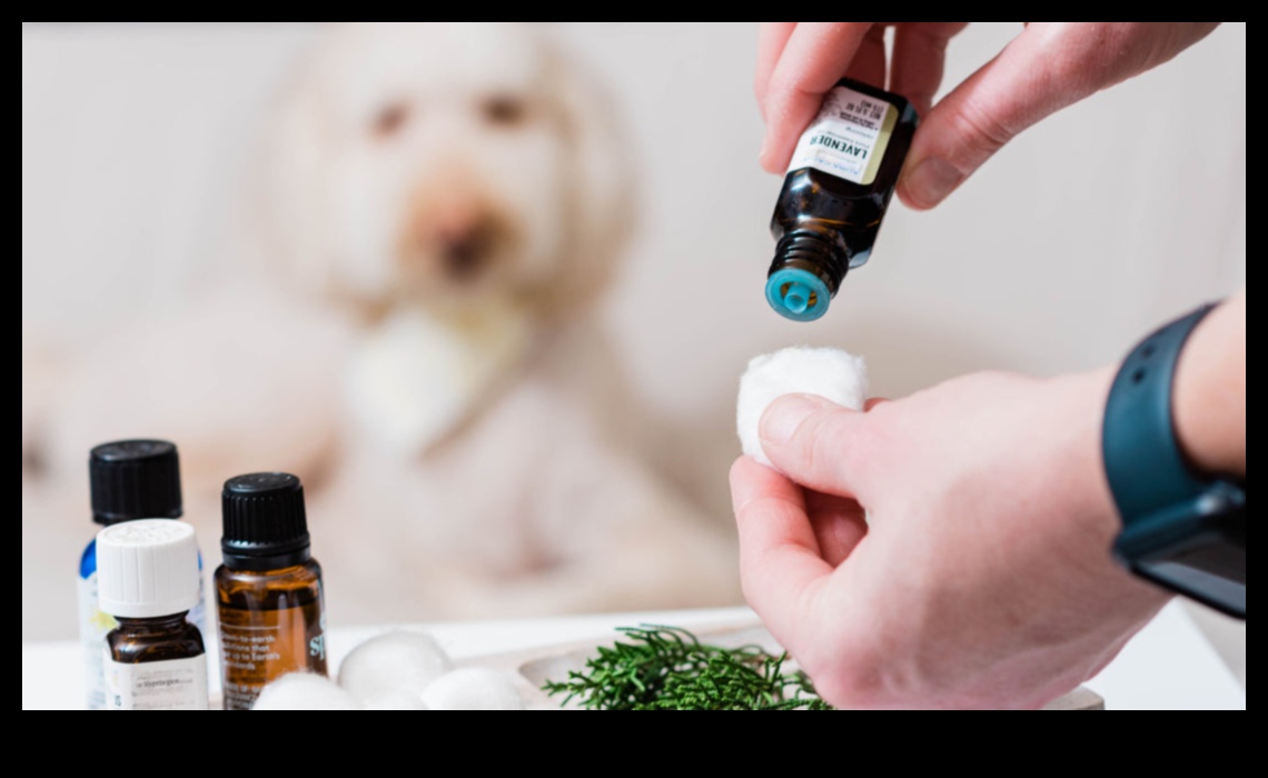 Aromatherapy for Pets: Calming Scents and Essential Oils