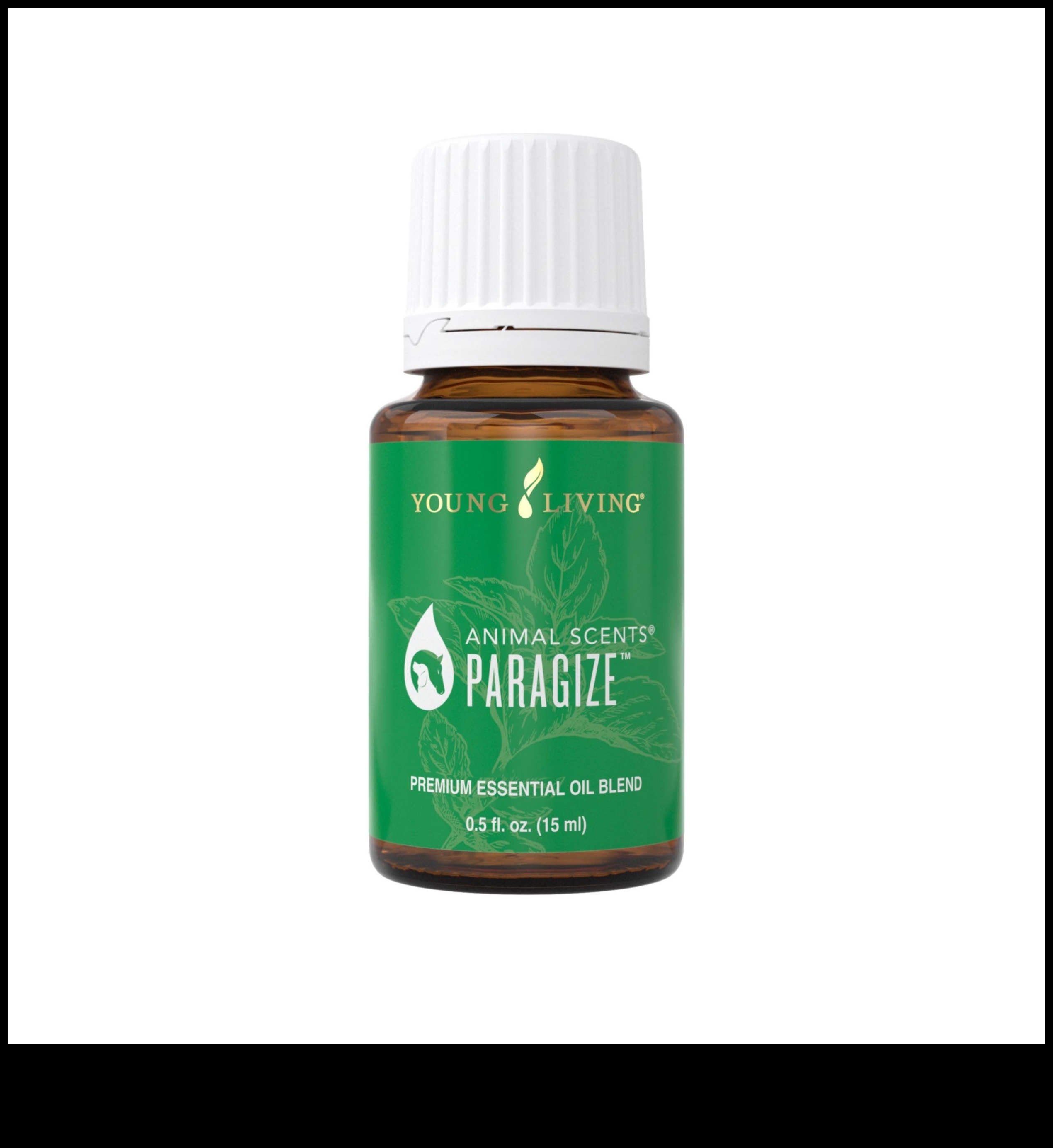 Aromatherapy for Pets: Calming Scents and Essential Oils