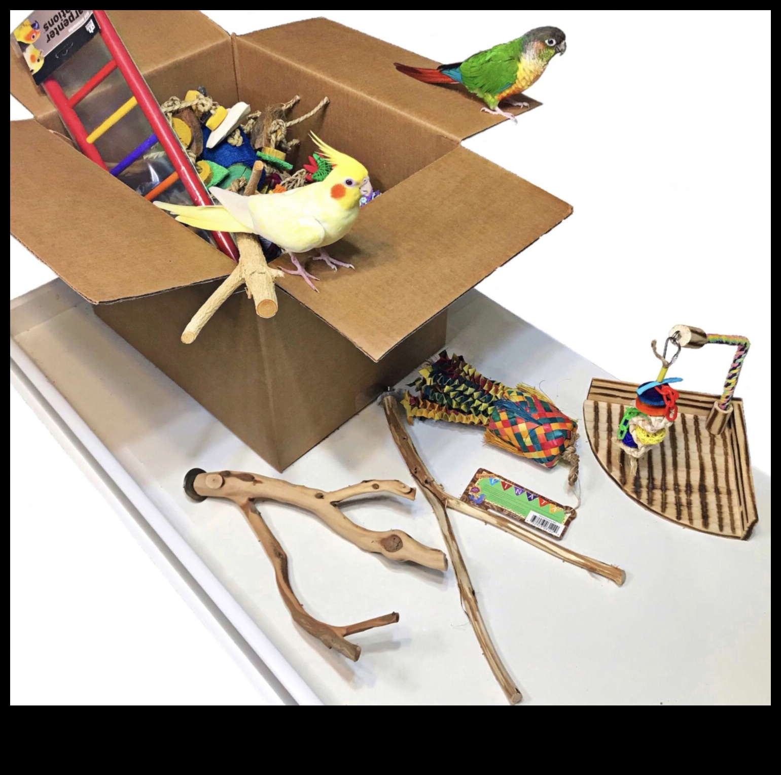 Avian Accessories: Stylish Additions for Your Pet Birds