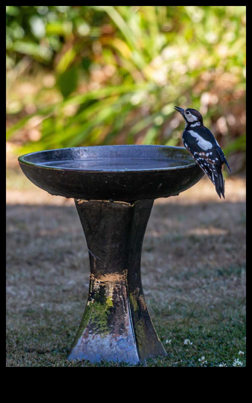 Avian Accessories: Stylish Additions for Your Pet Birds