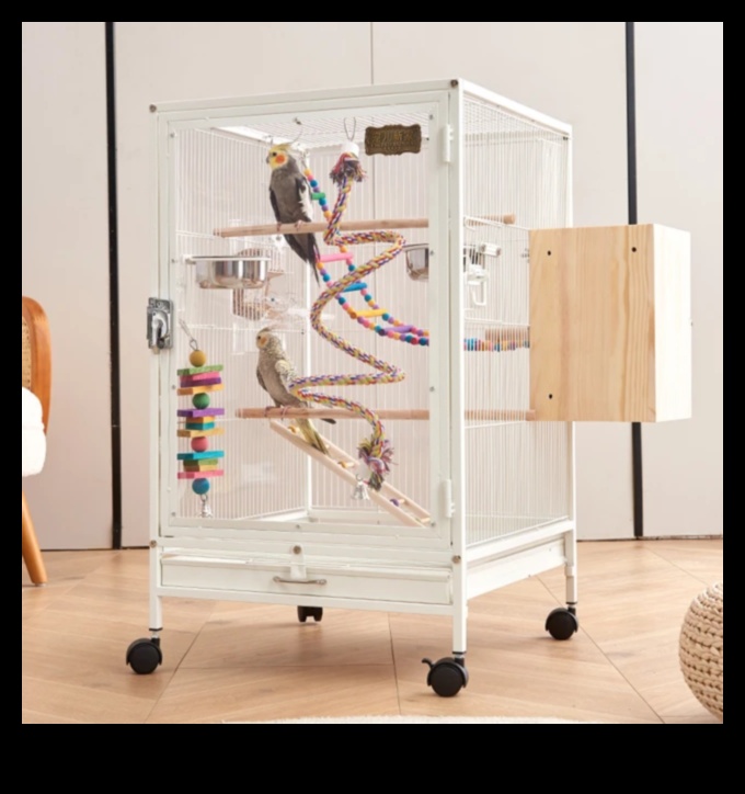 Avian Accessories: Stylish Additions for Your Pet Birds