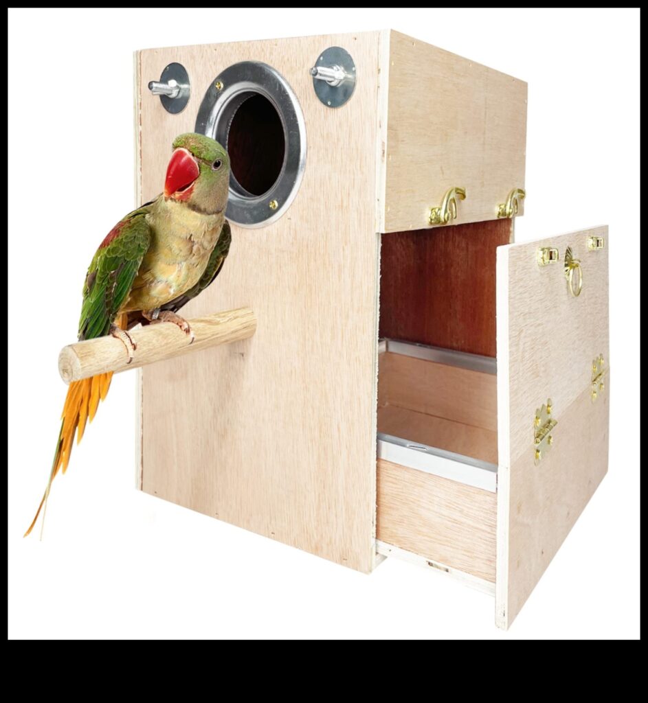 Avian Adornments Continued Boost Your Pet Bird's Fashion Sense 1