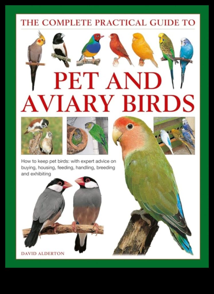 Avian Adventures Outdoor Exploration Tips for Pet Birds 1