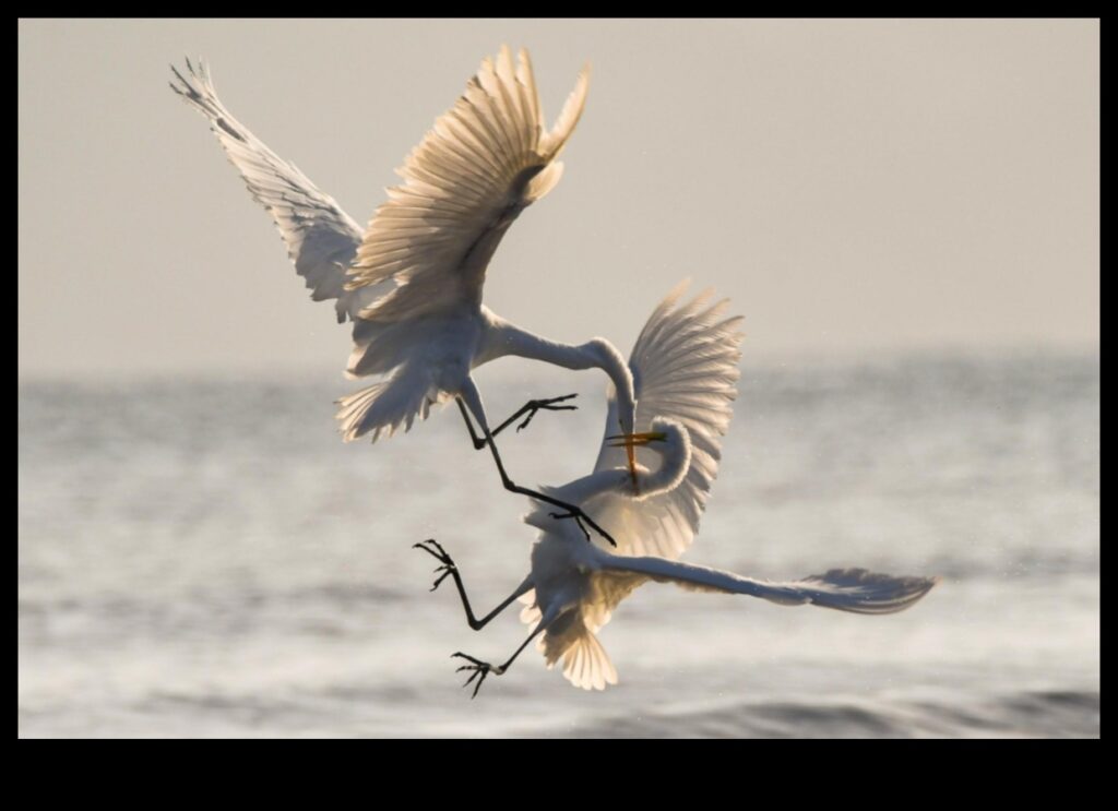 Avian Altruism Acts of Kindness Among Birds 1