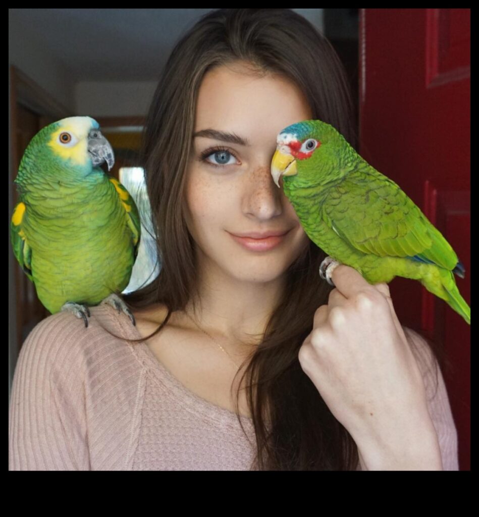Avian Amazement Building Trust with Your Pet Birds 1