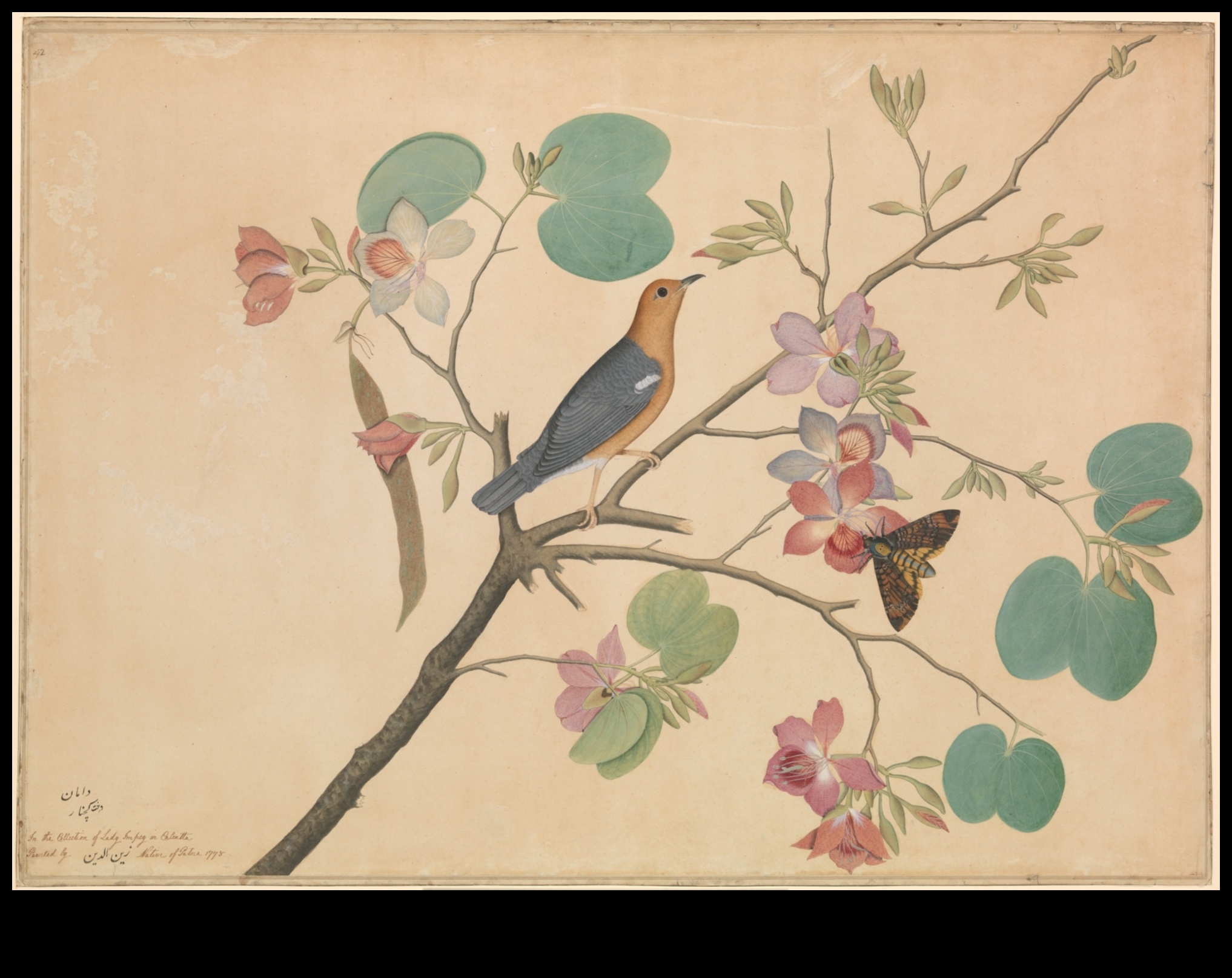 Avian Artistry Continued: Birds in Poetry and Prose