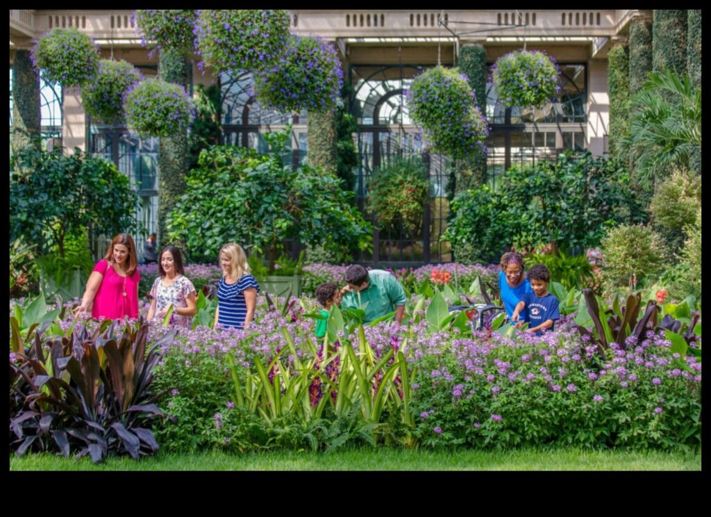 Backyard Beauty A Local Attractions Garden of Delights 1