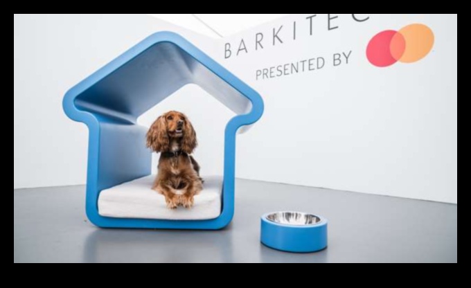 Barkitecture 101 Creating a Dog-Friendly Home 1